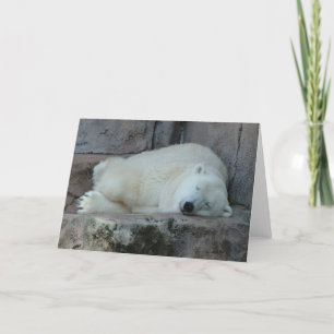 Dreaming of Icebergs Holiday Card