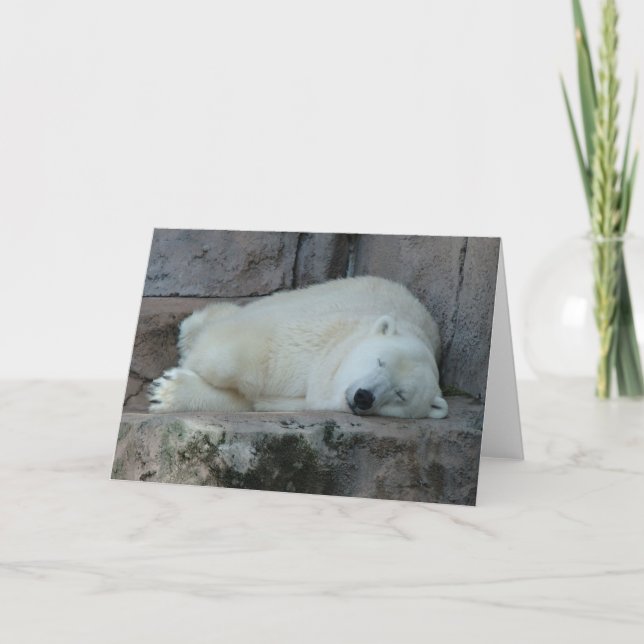 Dreaming of Icebergs Holiday Card (Front)