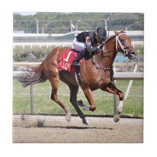 Dreaming of Neno Tile