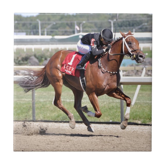 Dreaming of Neno Tile (Front)