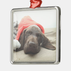 Dreaming of Santa - German Shorthair Puppy Metal Tree Decoration