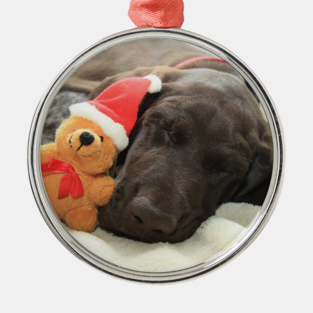 Dreaming of Santa - German Shorthair Puppy Metal Tree Decoration (Front)