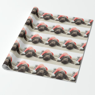 Dreaming of Santa - German Shorthair Puppy Wrapping Paper