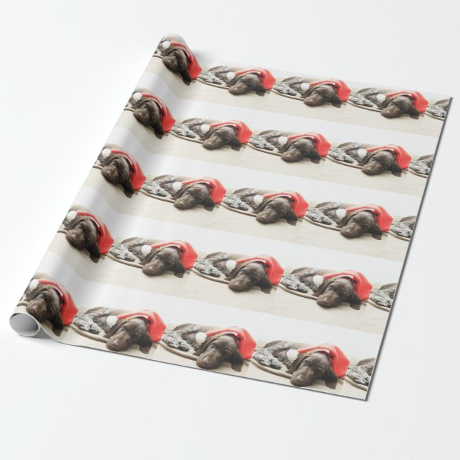 Dreaming of Santa - German Shorthair Puppy Wrapping Paper (Unrolled)
