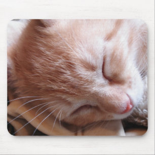 Dreaming of the mouse mat