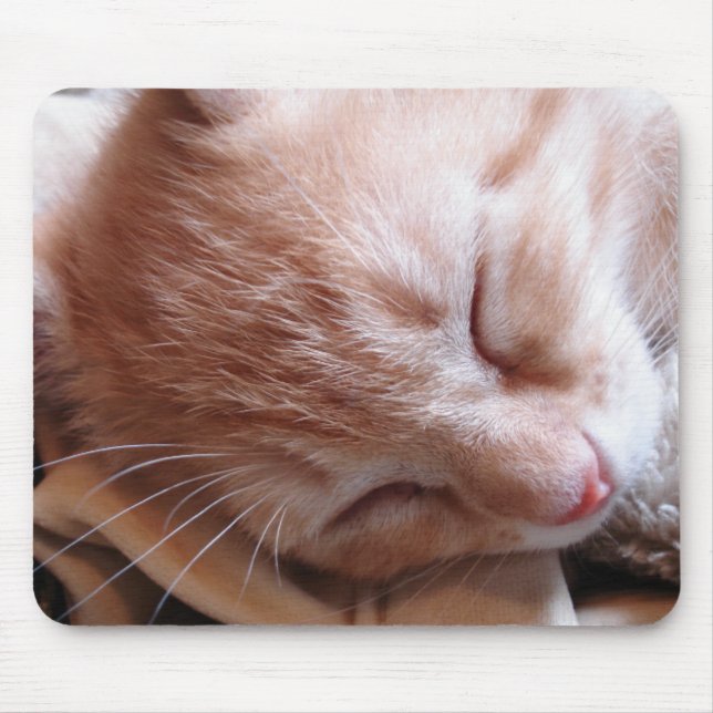Dreaming of the mouse mat (Front)