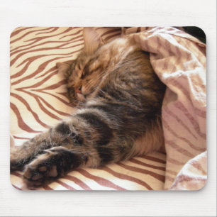 Dreaming of the veldt mouse mat