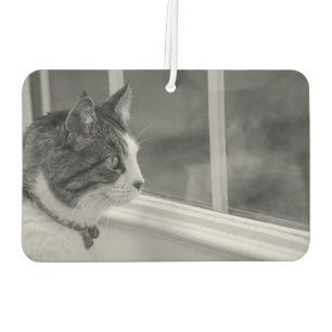 Dreaming Of Warmer Weather Grayscale Car Air Freshener