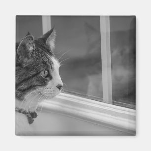 Dreaming Of Warmer Weather Grayscale Magnet