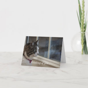 Dreaming Of Warmer Weather To Go Outside Card