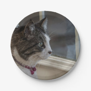 Dreaming Of Warmer Weather To Go Outside Paper Plate