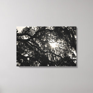 Dreaming Under the Oak Tree Wrapped Canvas