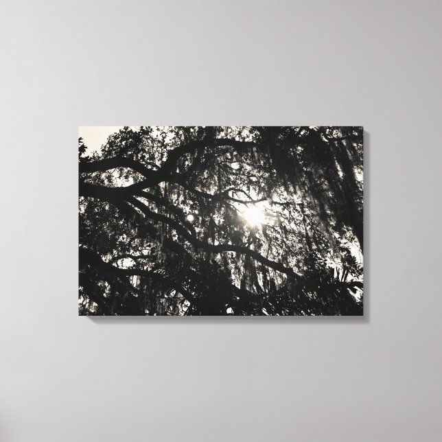 Dreaming Under the Oak Tree Wrapped Canvas (Front)
