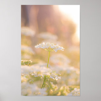 Dreaming with the Flowers Poster