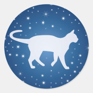 Dreaming with the Stars Classic Round Sticker