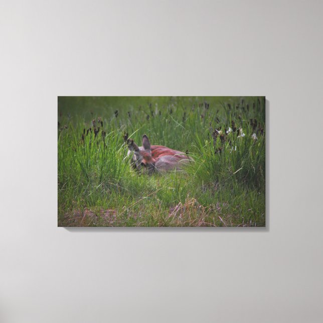 Dreamland Canvas Print (Front)