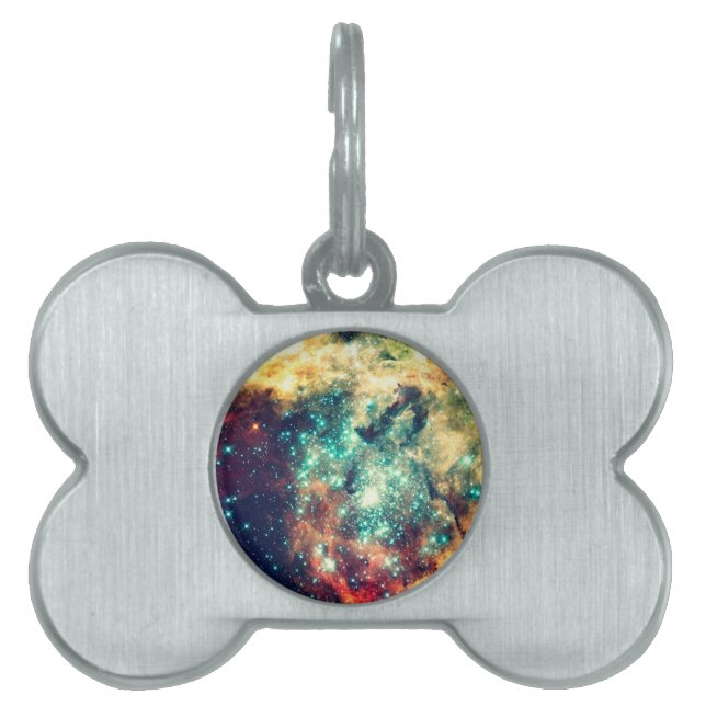 Dreamland Pet ID Tag (Front)
