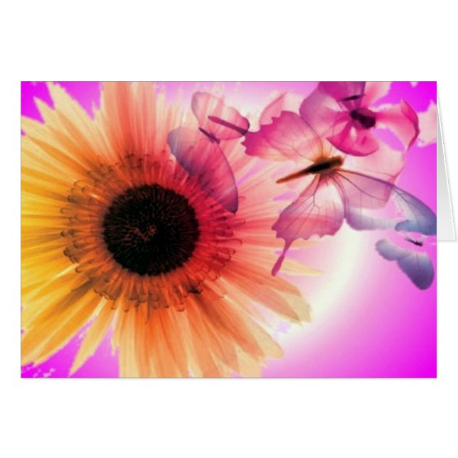 Dreams (Front Horizontal)