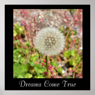 Dreams Come True Inspirational Poster
