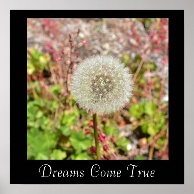 Dreams Come True Inspirational Poster (Front)