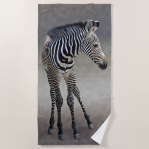 Dreams in Black and White Beach Towel
