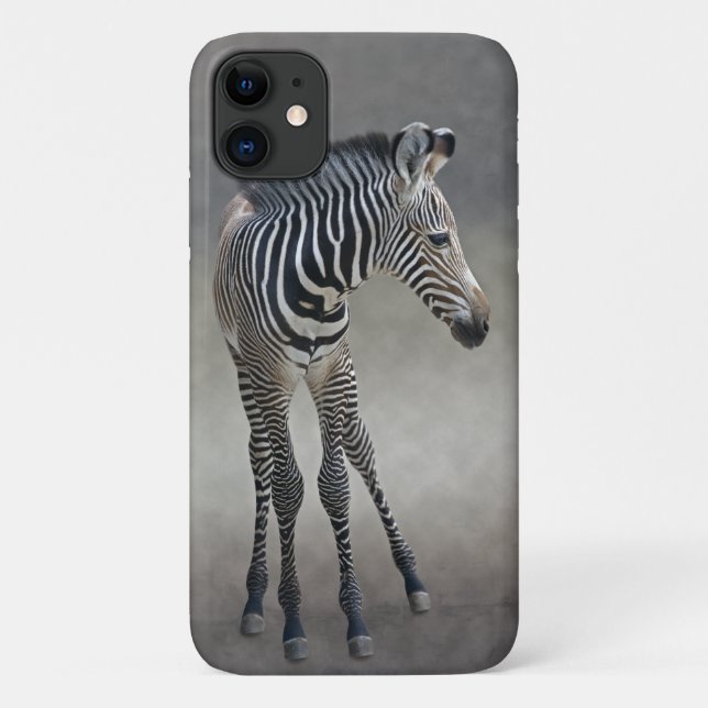Dreams in Black and White iPhone 11 Case (Back)