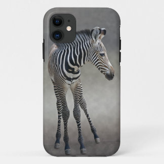 Dreams in Black and White iPhone 5 Case-Mate Case