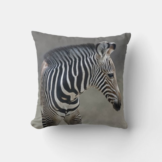 Dreams in Black and White Pillow (Front)
