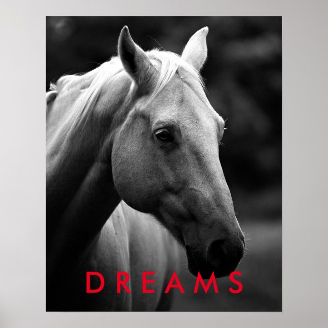 Dreams Motivational Black White Closeup Horse Poster (Front)