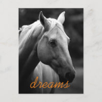 Dreams Motivational Black & White Horse Head