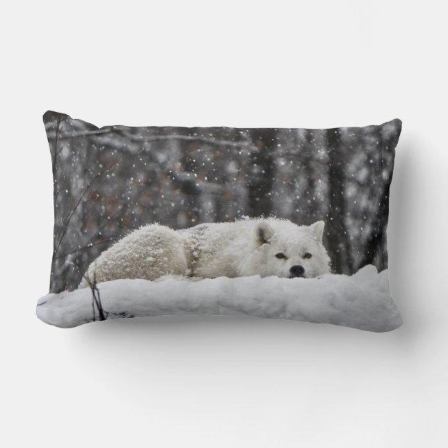 Dreams of warmer weather lumbar cushion (Front)