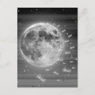 Dreams That Fly Postcard