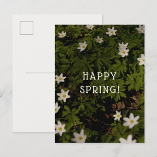 Dreamy and soft Spring Blossoms aesthetic greeting Postcard