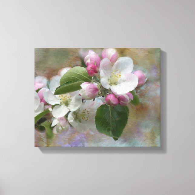 Dreamy Apple Blossoms Canvas Print (Front)