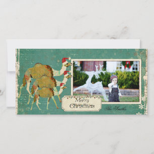 Dreamy Camels Christmas Photo Card