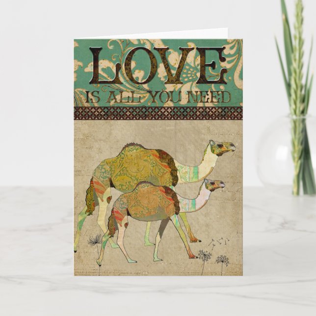 Dreamy Camels  Love Greeting Card (Front)
