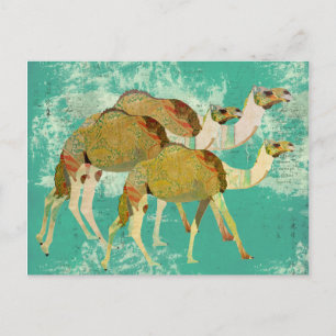 Dreamy Camels Postcard