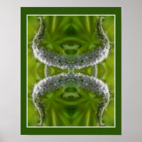 Dreamy Curling White Wild Flower Abstract
