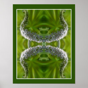 Dreamy Curling White Wild Flower Abstract Poster