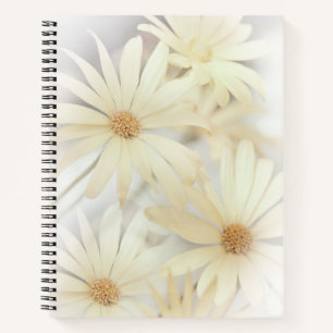 'Dreamy Daisies 2' Notebook