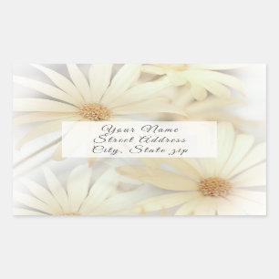 'Dreamy Daisies' Label