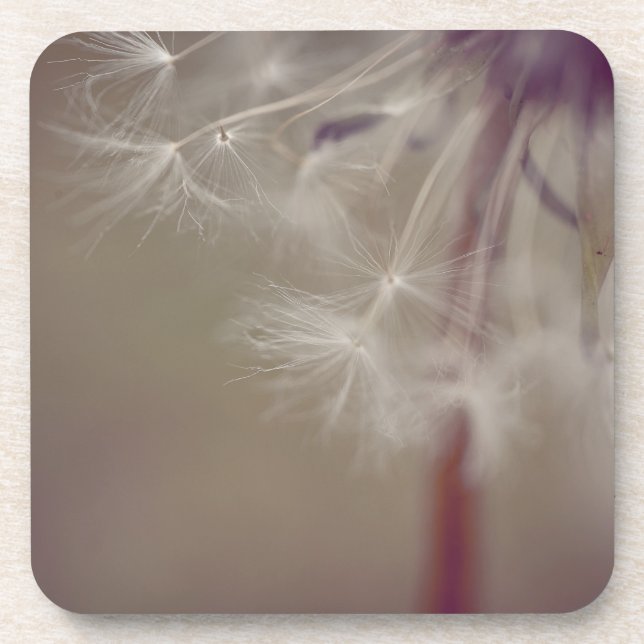 Dreamy Dandelion Art Hard plastic coaster 02 (Front)