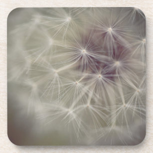 Dreamy Dandelion Art Hard plastic coaster 04