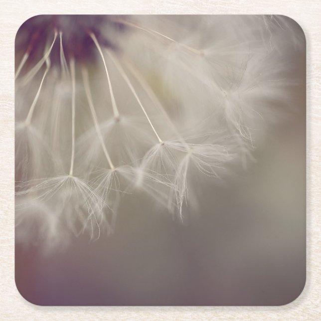 Dreamy Dandelion Art Paper Coaster 03 (Front)