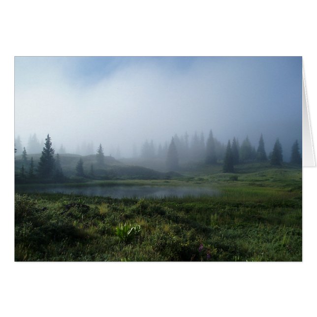 Dreamy Day (Front Horizontal)