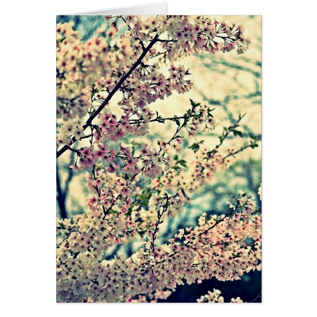 Dreamy Explosion (Blank Inside) (Front)