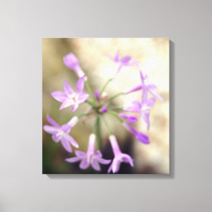 Dreamy Flora Canvas Print