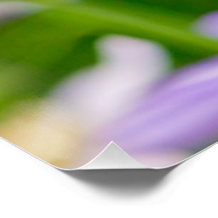 Dreamy Flowers―Purple Poster