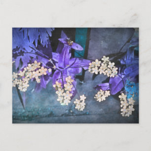 Dreamy Forget Me Nots (Myosotis) Postcard