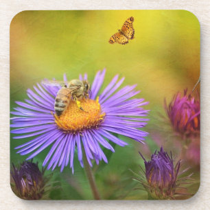 Dreamy Garden Coasters